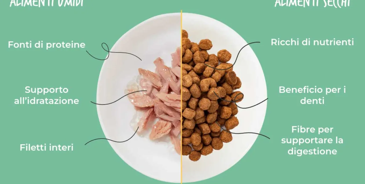 Alimenti per cani e gatti, naturalmente buoni, parola di pet