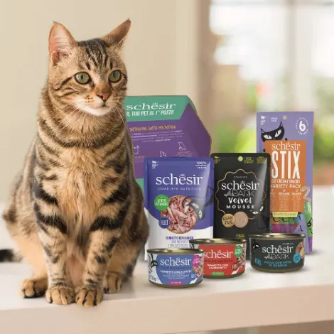 Immagine per il brand schesir dei prodotti in vendita da Armani PetShop a Caprino Veronese