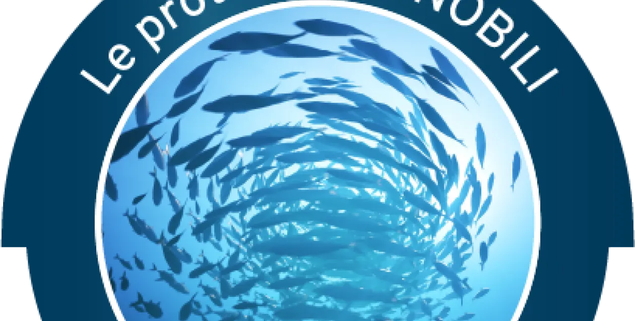 immagine per il brand forza 10