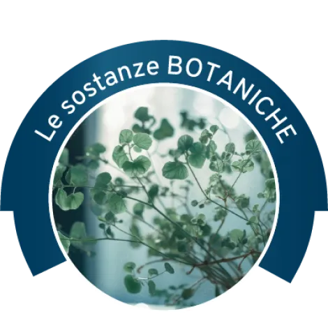 Seconda immagine per il brand forza 10 dei prodotti in vendita da Armani PetShop a Caprino Veronese