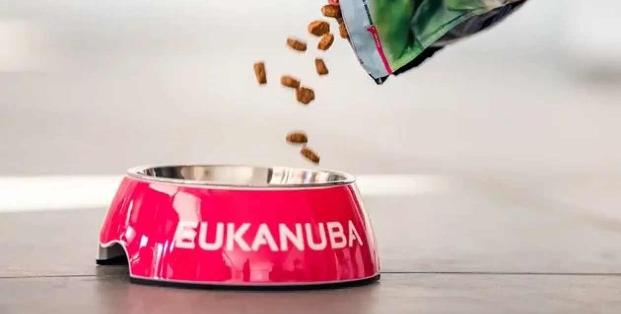 Alimentazione ad hoc