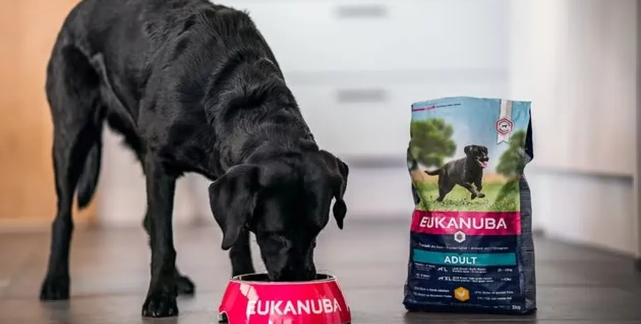 immagine per il brand eukanuba
