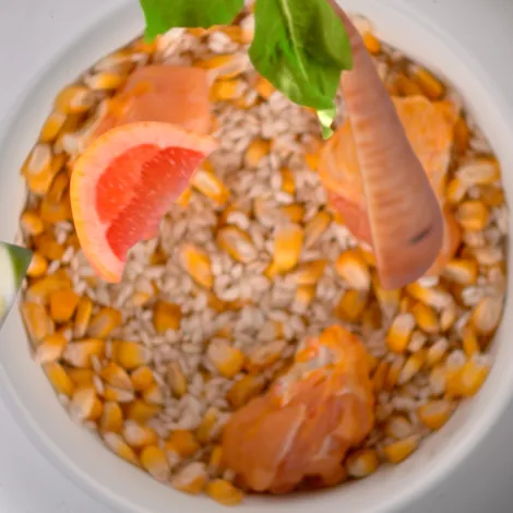 Immagine per il brand natural trainer dei prodotti in vendita da Armani PetShop a Caprino Veronese