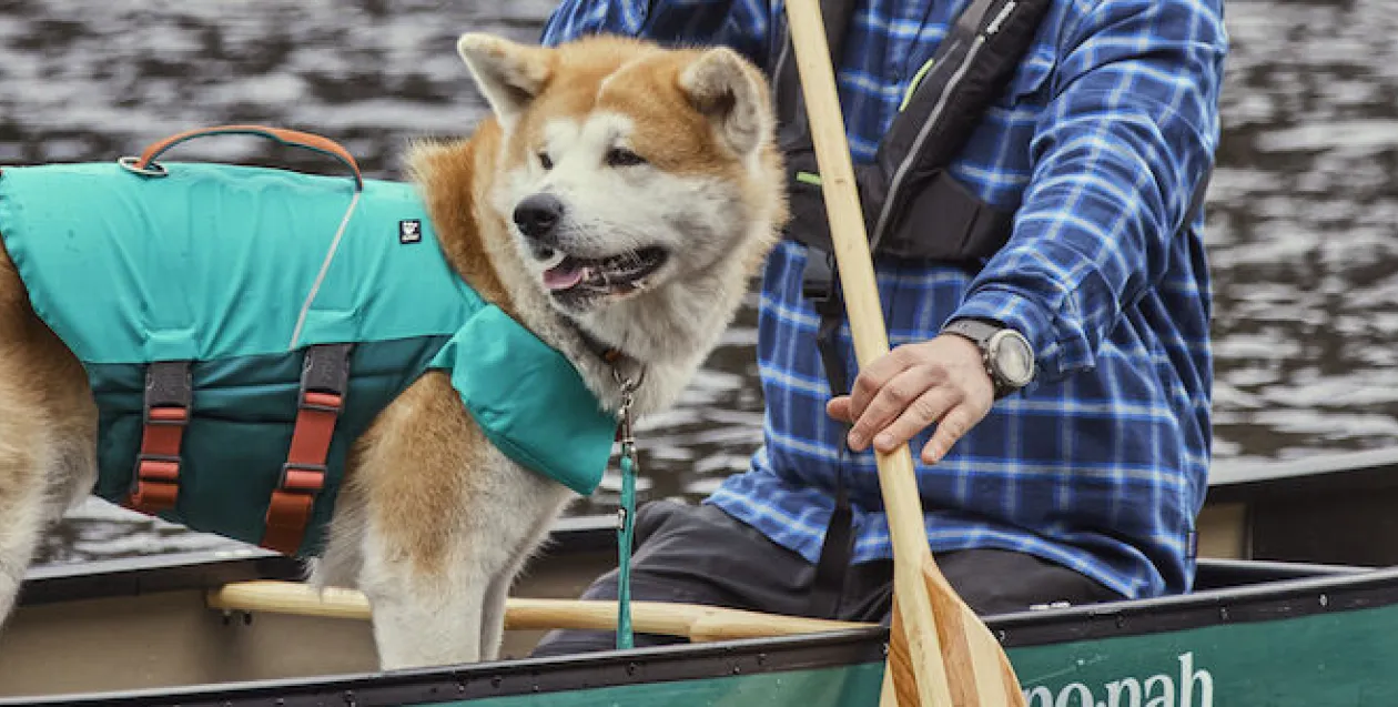 Progettazione di capi tecnici e di accessori per il cane e per il trainer
