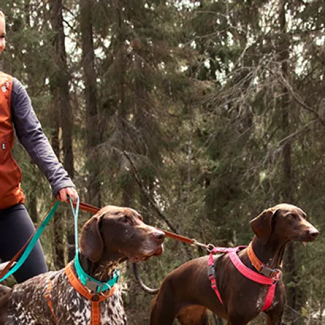 Immagine per il brand hurtta dei prodotti in vendita da Armani PetShop a Caprino Veronese