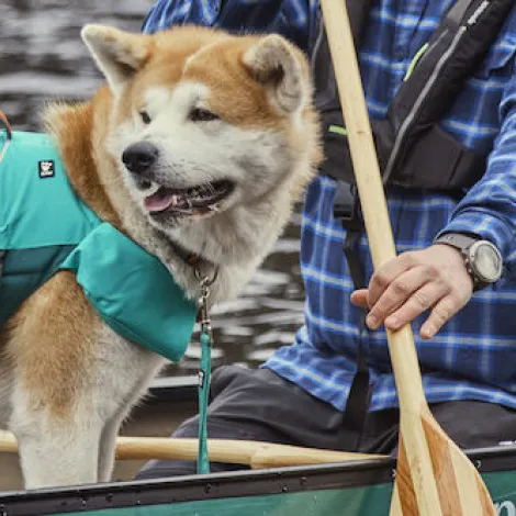 Seconda immagine per il brand hurtta dei prodotti in vendita da Armani PetShop a Caprino Veronese