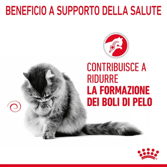 royal canin cat care hairball in salsa - Altra Vista Secondaria
