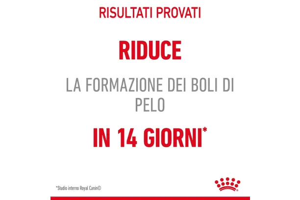 royal canin cat care hairball in salsa