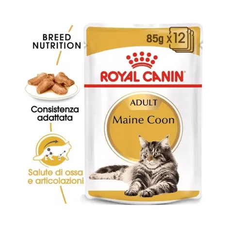 royal canin maine coon