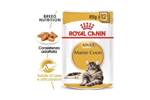 royal canin maine coon