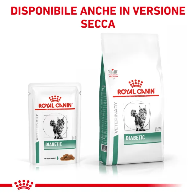 royal canin v-diet diabetic - Altra Vista Secondaria