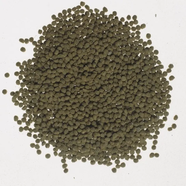 tetra goldfish colour - Altra Vista Secondaria