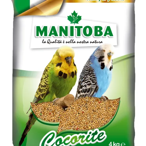 manitoba cocorite biscuit 4 kg