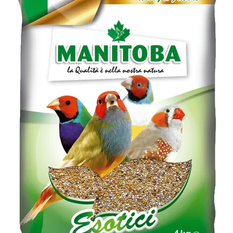 manitoba esotici 4 kg