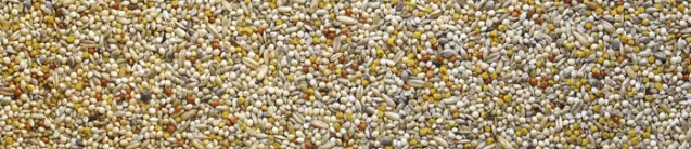 manitoba exotic best premium 1 kg - Altra Vista Secondaria