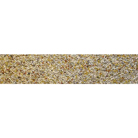 manitoba exotic best premium 1 kg