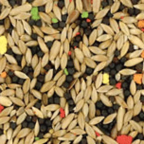 manitoba canary mix 0,5 kg