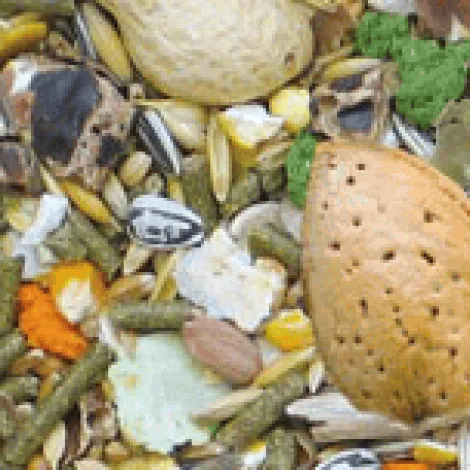 manitoba roditori 1kg