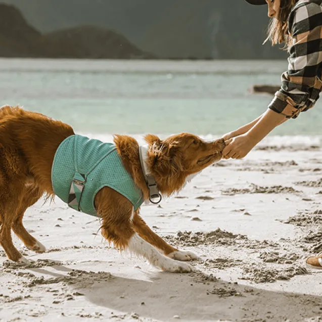 hurtta cooling wrap - Altra Vista Secondaria