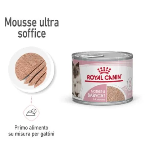 royal canin mother & babycat mousse