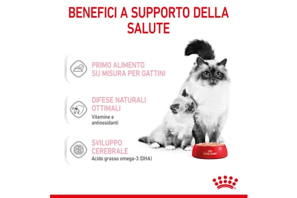royal canin mother & babycat mousse