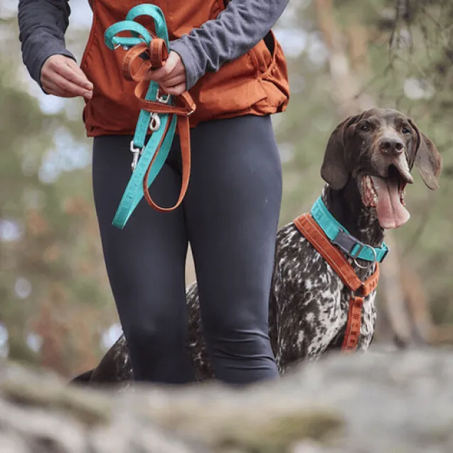 hurtta guinzaglio casual eco nero - Altra Vista Secondaria