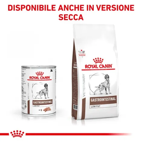 royal canin canine gastrointestinal low fat