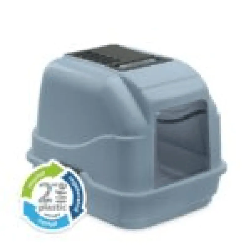 imac easy cat - Vista Principale 2