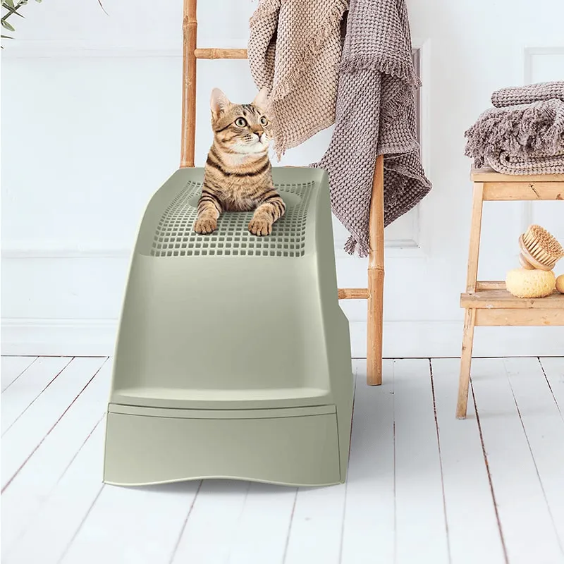 imac frida - Vista Principale 2