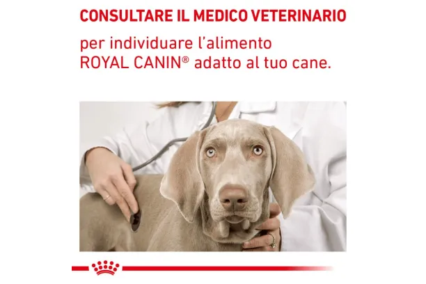royal canin renal canine v-diet