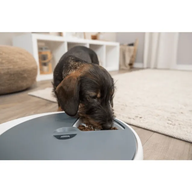 distributore automatico di cibo tx4+1 - Altra Vista Secondaria