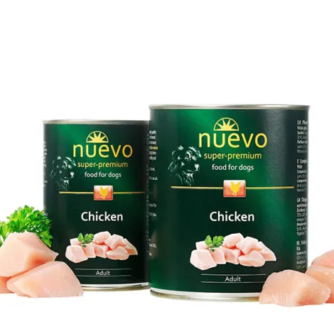 nuevo adult umido per cani pollo