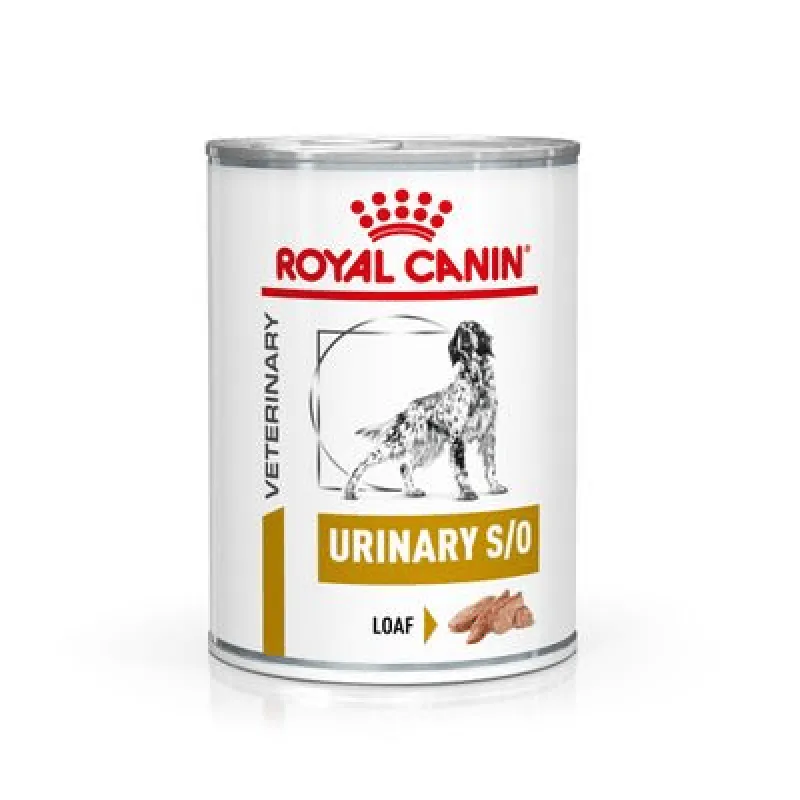 royal canin urinary s-o canine - Vista Principale 2