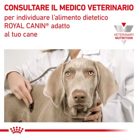 royal canin veterinary cardiac v-diet canine