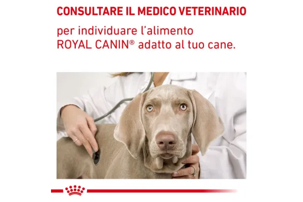 royal canin canine satiety weight management v-diet
