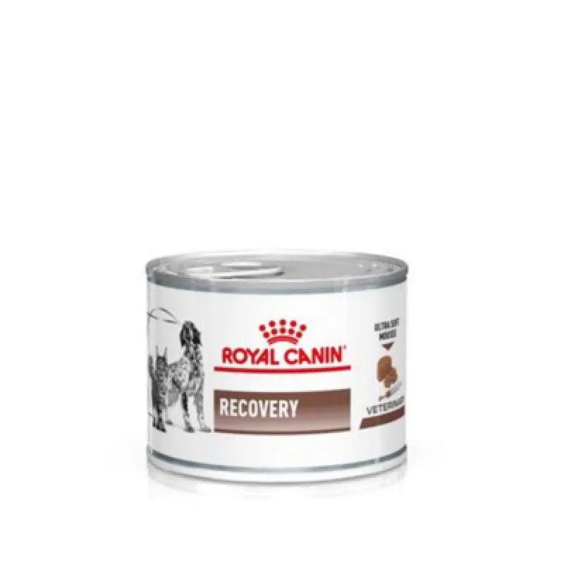 royal canin recovery veterinary mousse cane e gatto - Vista Principale 2