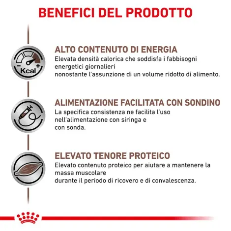 royal canin recovery veterinary mousse cane e gatto