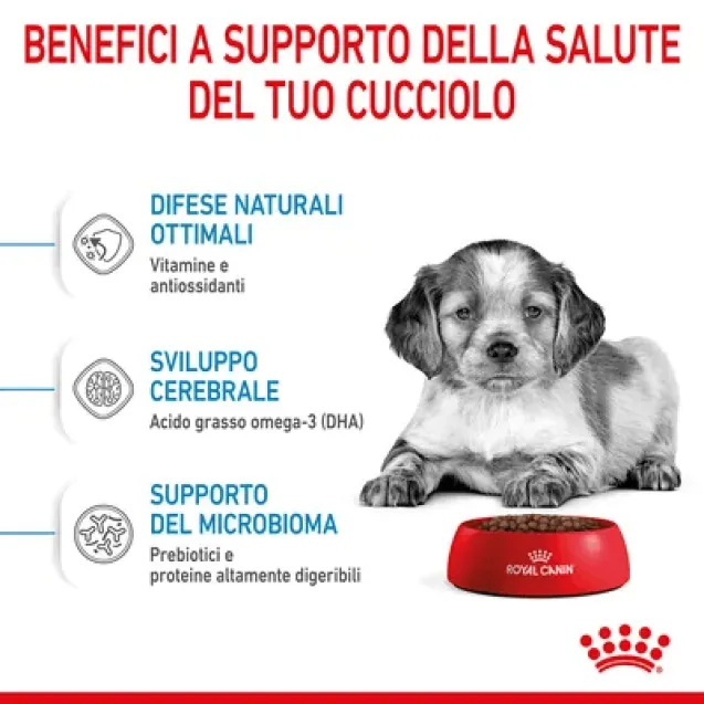 royal canin medium puppy 10 kg - Altra Vista Secondaria