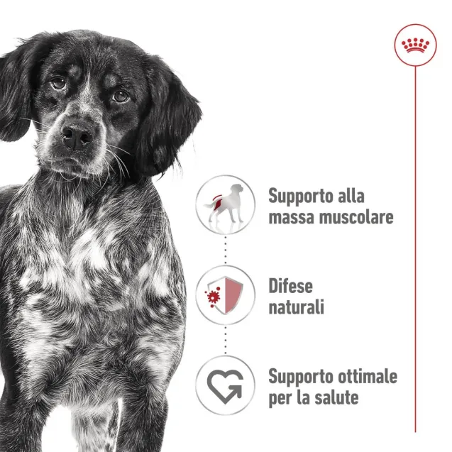 royal canin medium adult - Altra Vista Secondaria