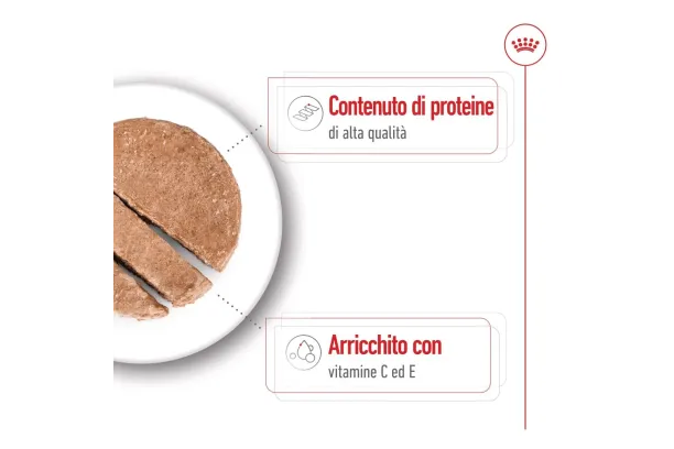 royal canin medium adult