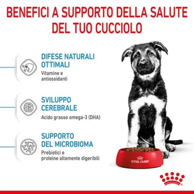 royal canin maxi puppy 10 kg - Altra Vista Secondaria