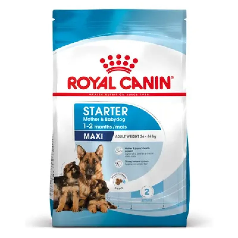 royal canin maxi starter mother & babydog 3 kg - Vista Principale 2