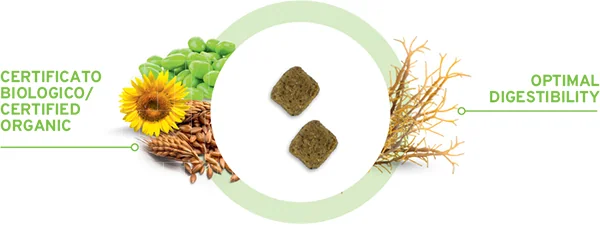 All Size Adult - 100 % Vegetal - 10 kg - Altra Vista Secondaria