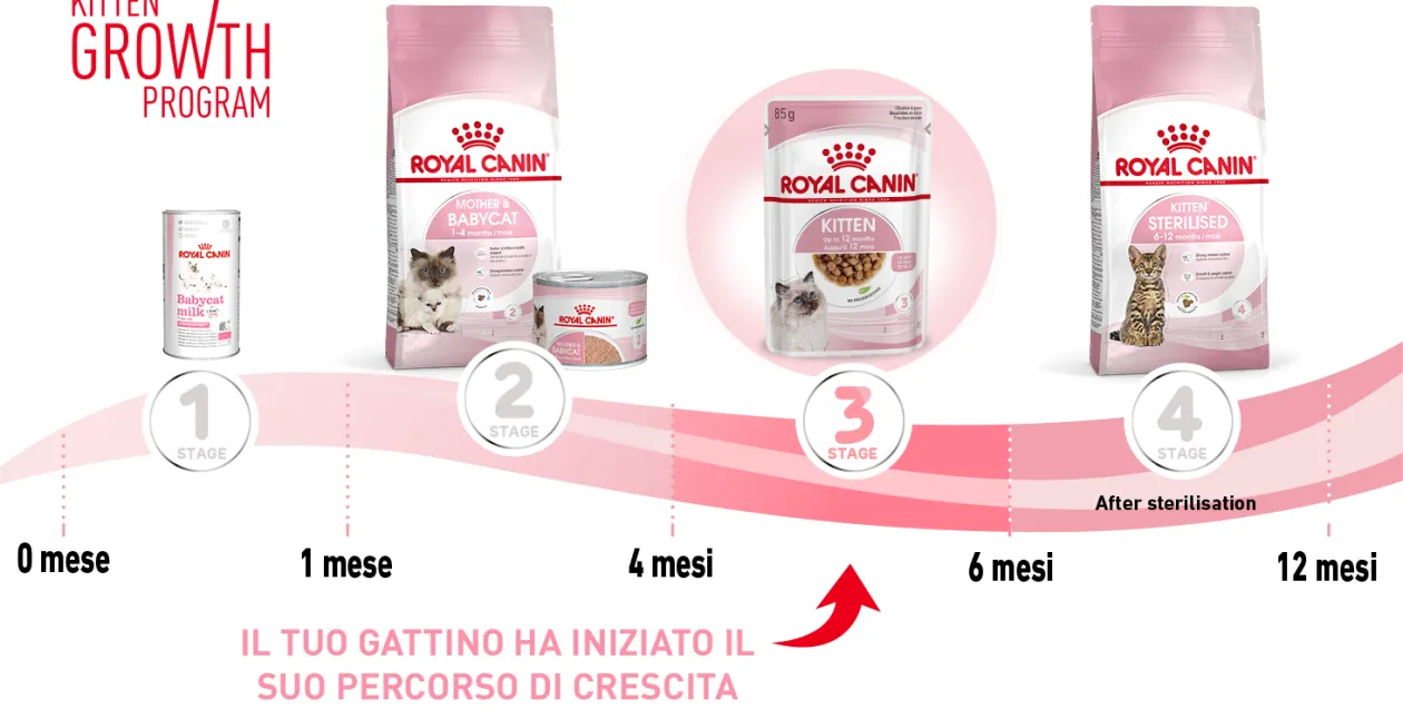 royal canin kitten - Altra Vista Secondaria