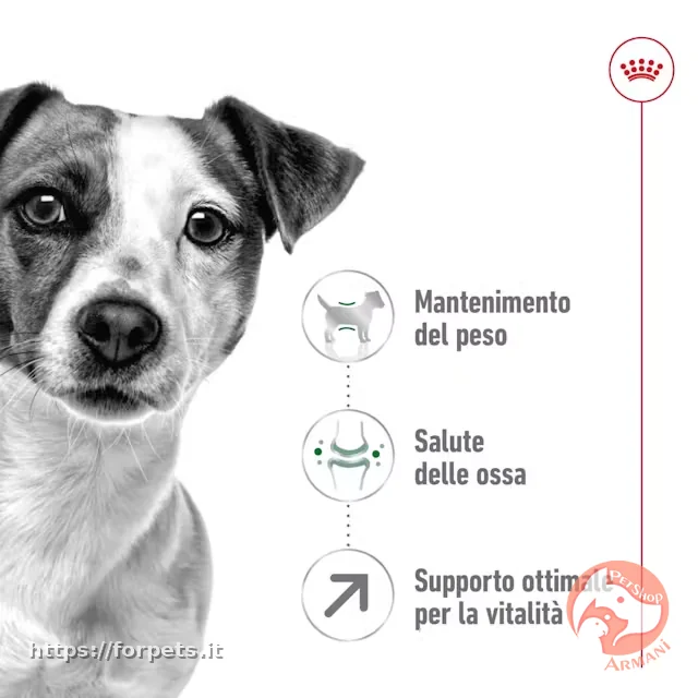 Royal Canin Mini Adult 8+ da 2 kg - Vista Principale 2