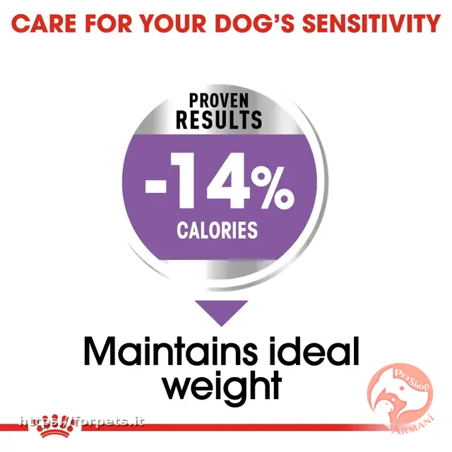 Royal Canin mini Sterilised 1kg - Altra Vista Secondaria