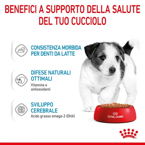 royal canin mini puppy