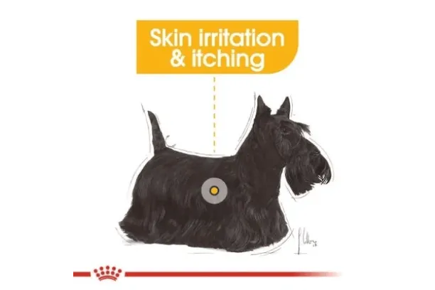 royal canin dermacomfort