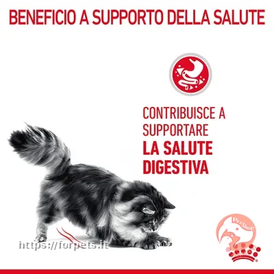 Royal Canin Digestive Care Crocchette per gatto ACQUISTABILE A PESO - Altra Vista Secondaria