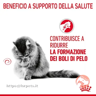 Royal Canin Hairball Care Crocchette gatto ACQUISTABILE A PESO - Vista Principale 2